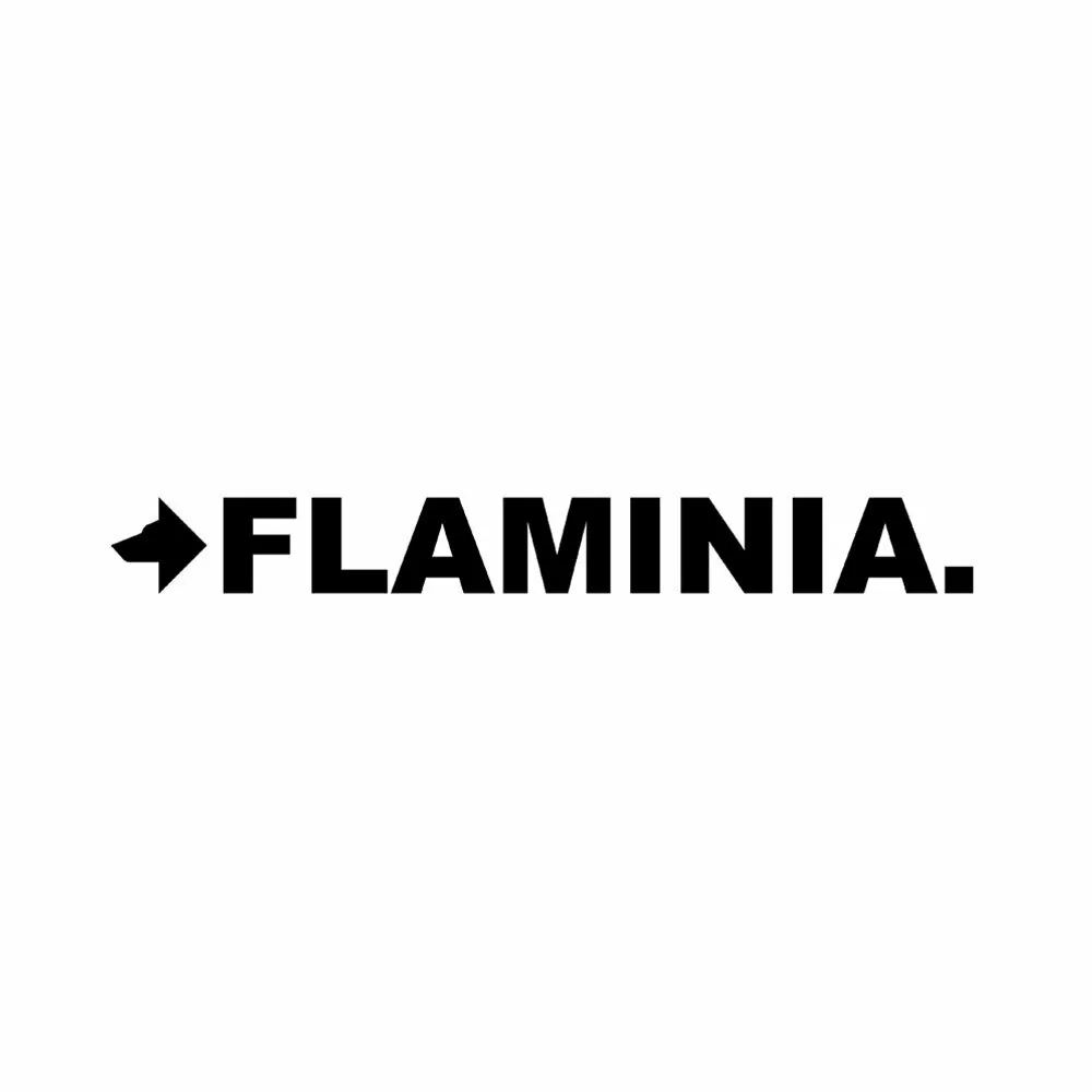 Flaminia