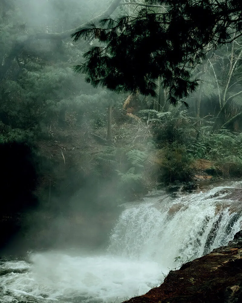 Gruppo Geromin Scopino e Porta scopino